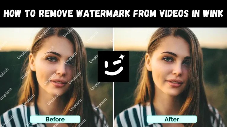 How to Remove Watermark from Video in Wink 2024 3 How-to-Remove-Watermark-from-Videos-in-Wink