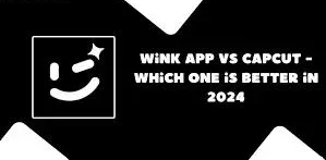 Wink vs Capcut