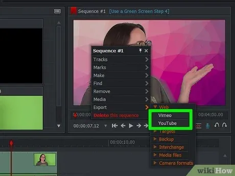 How to Use Green Screen in Wink Enhancer: A Step-by-Step Guide 2 Wink mod green video enchaning